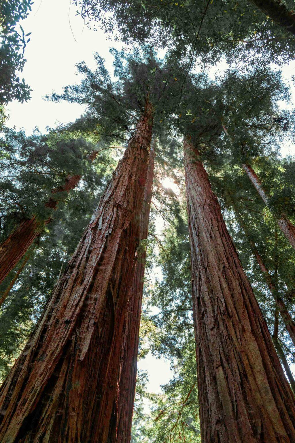 Made In France - BlablaCube - cabine acoustique insonorisée pour bureaux, ateliers et open space