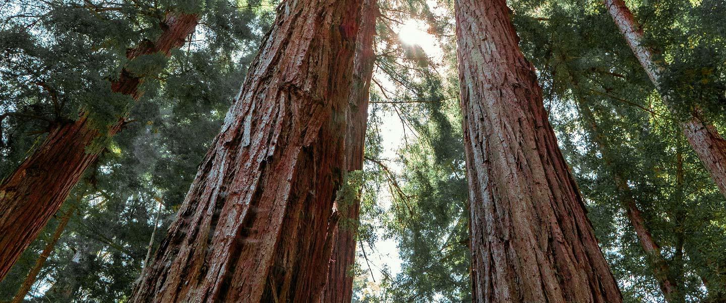 RSE - BlablaCube - cabine acoustique insonorisée pour bureaux, ateliers et open space