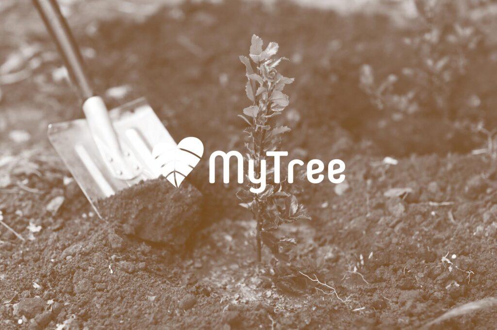 BlablaCube - cabine acoustique insonorisée pour bureaux, ateliers et open space