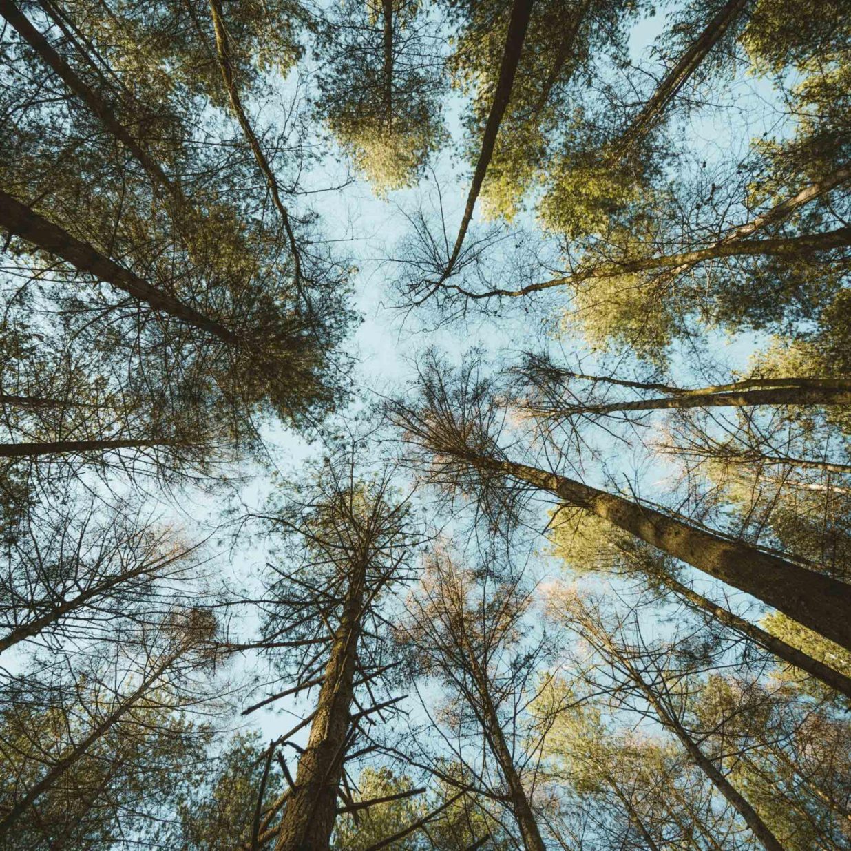 RSE - BlablaCube - cabine acoustique insonorisée pour bureaux, ateliers et open space